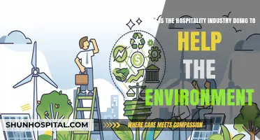 Sustainable Hospitality: How the Industry is Embracing Eco-Friendly Practices