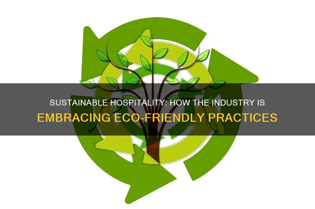 what is the hospitality industry doing to help the environment