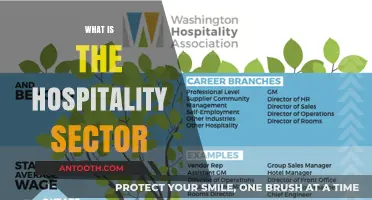 Exploring the Dynamic World of Hospitality: A Comprehensive Guide
