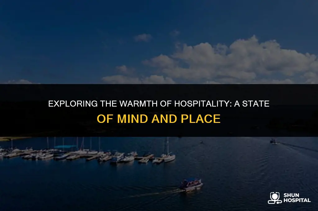 what is the hospitality state