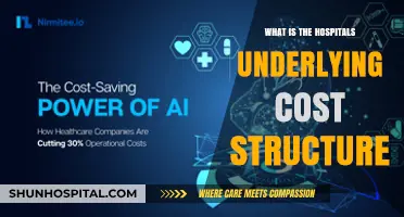 Understanding Hospital Costs: The Underlying Structure