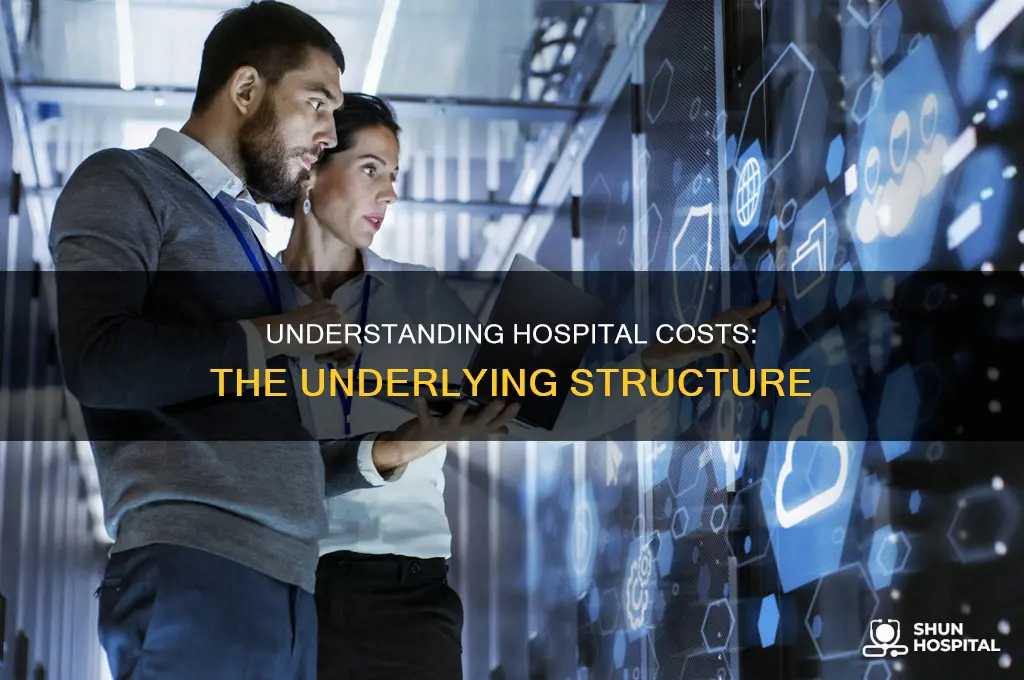 what is the hospitals underlying cost structure