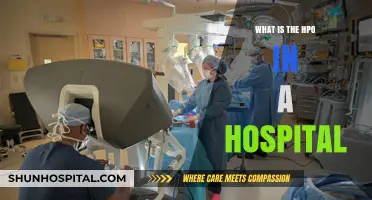 Understanding the Hospital's HPO: Enhancing Patient Care