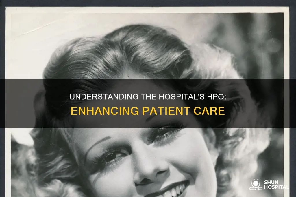 what is the hpo in a hospital