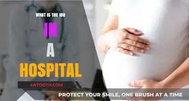 Understanding the Role of IBUs in Hospitals
