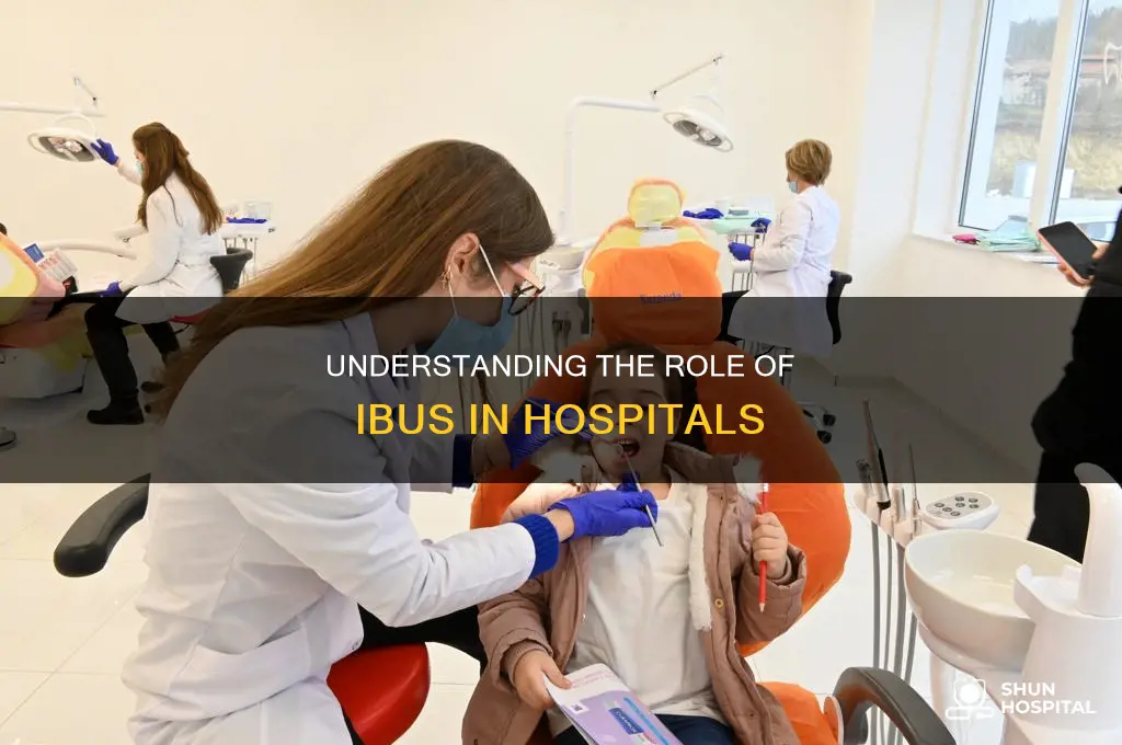 what is the ibu in a hospital