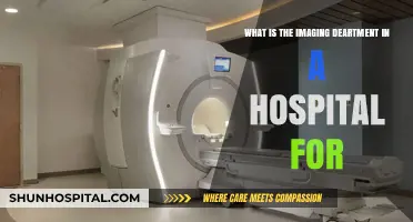 Understanding the Role of a Hospital's Imaging Department