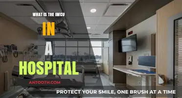 ICU's Little Brother: IMCU's Role in Patient Care