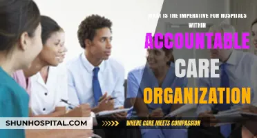Hospitals' Role in Accountable Care Organizations: Imperative for Success