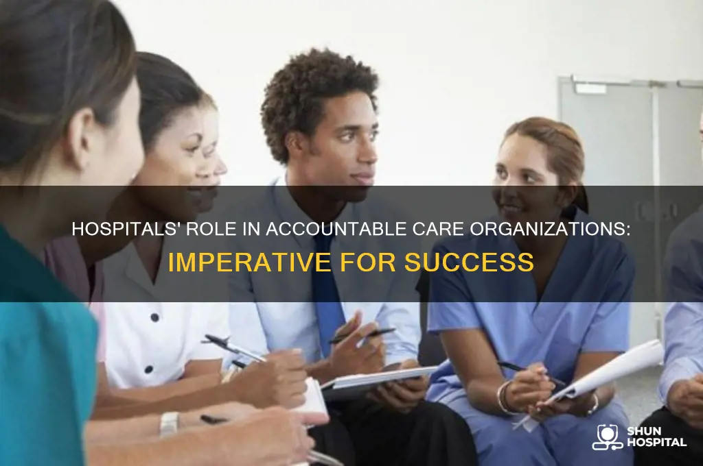 what is the imperative for hospitals within accountable care organizations