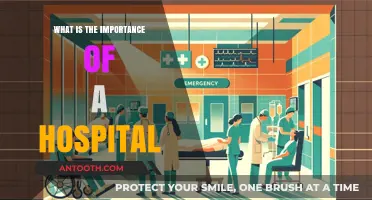 Hospitals: Vital Community Support and Healthcare