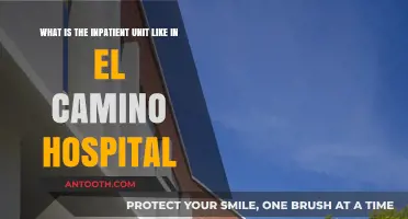Exploring El Camino Hospital's Inpatient Unit: Environment, Care, and Experience