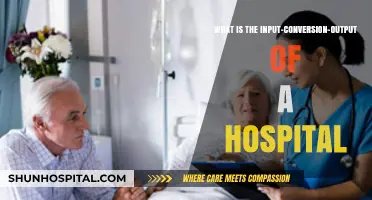 Understanding Hospital Operations: Input-Conversion-Output Process Explained