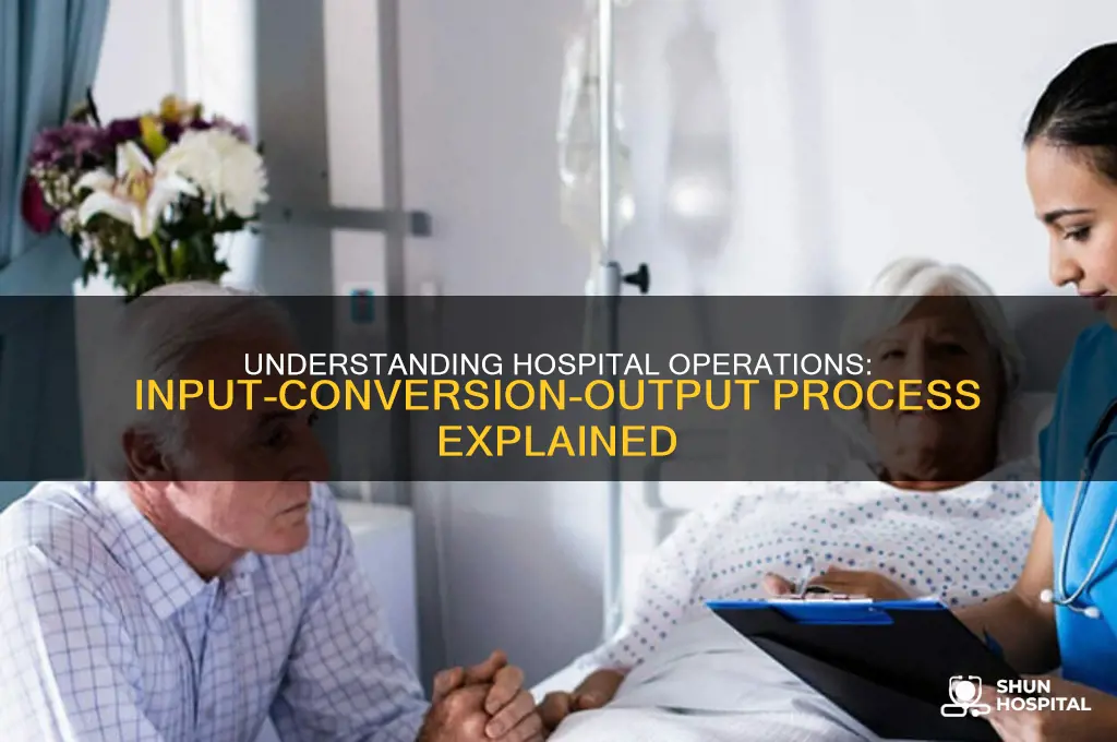 what is the input-conversion-output of a hospital