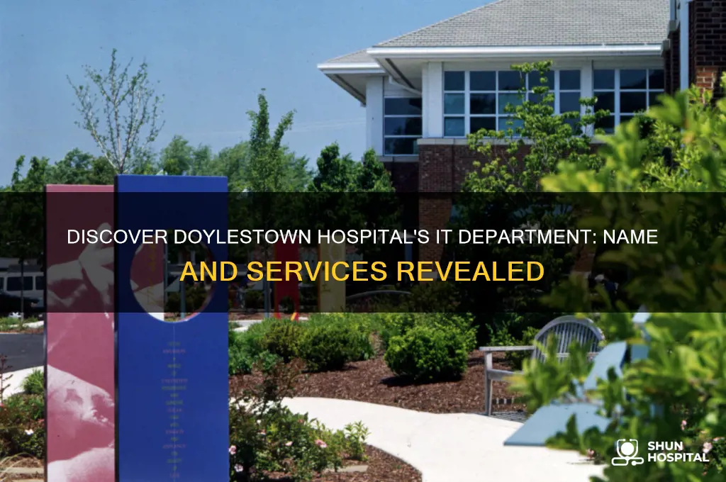 what is the it department at doylestown hospital called