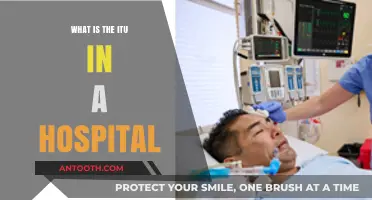 Understanding Hospital ITU: What You Need to Know