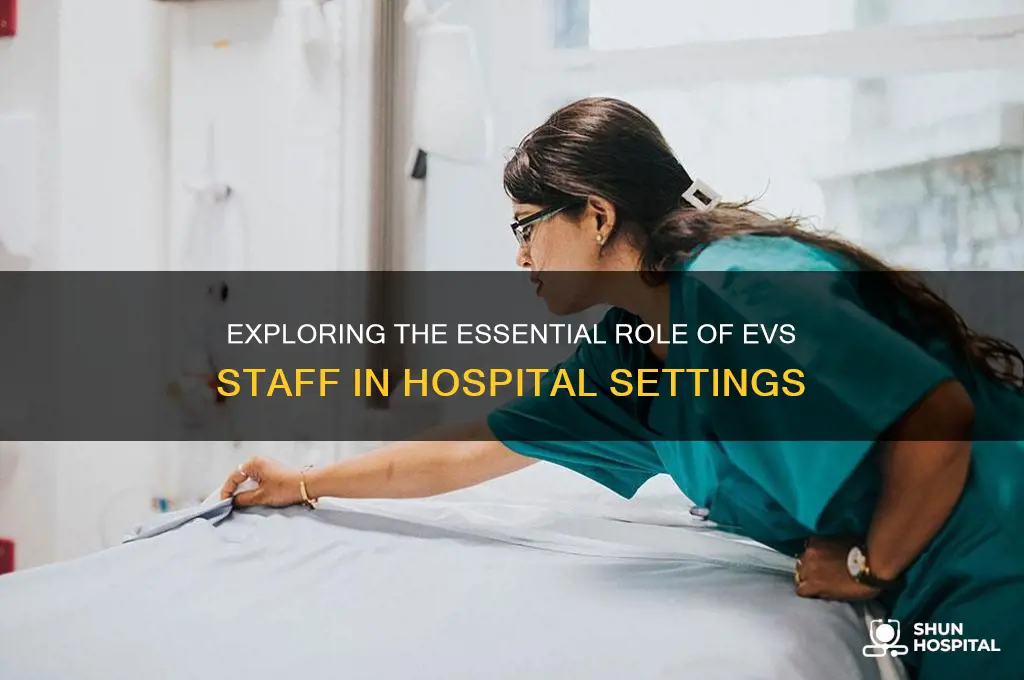 what is the job description for evs in a hospital