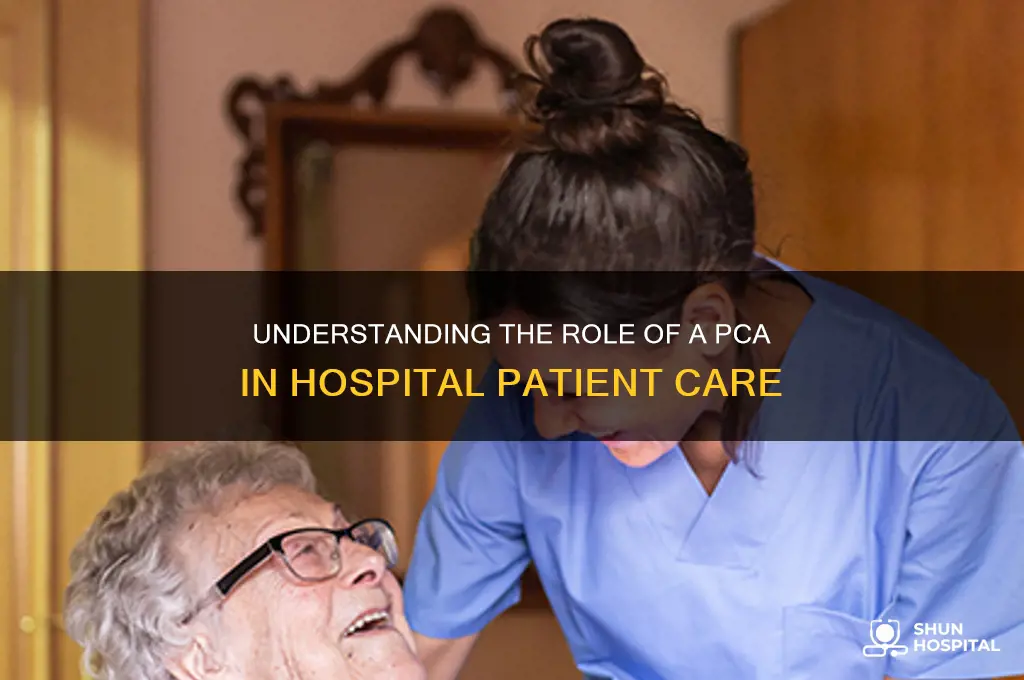 what is the job of a pca in a hospital