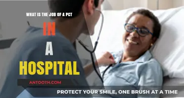 Understanding the Role of a PCT in Hospital Patient Care