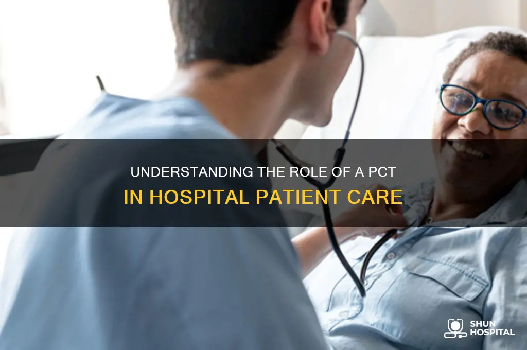 what is the job of a pct in a hospital