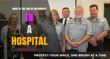 Understanding the Vital Role of Hospital Orderlies in Patient Care