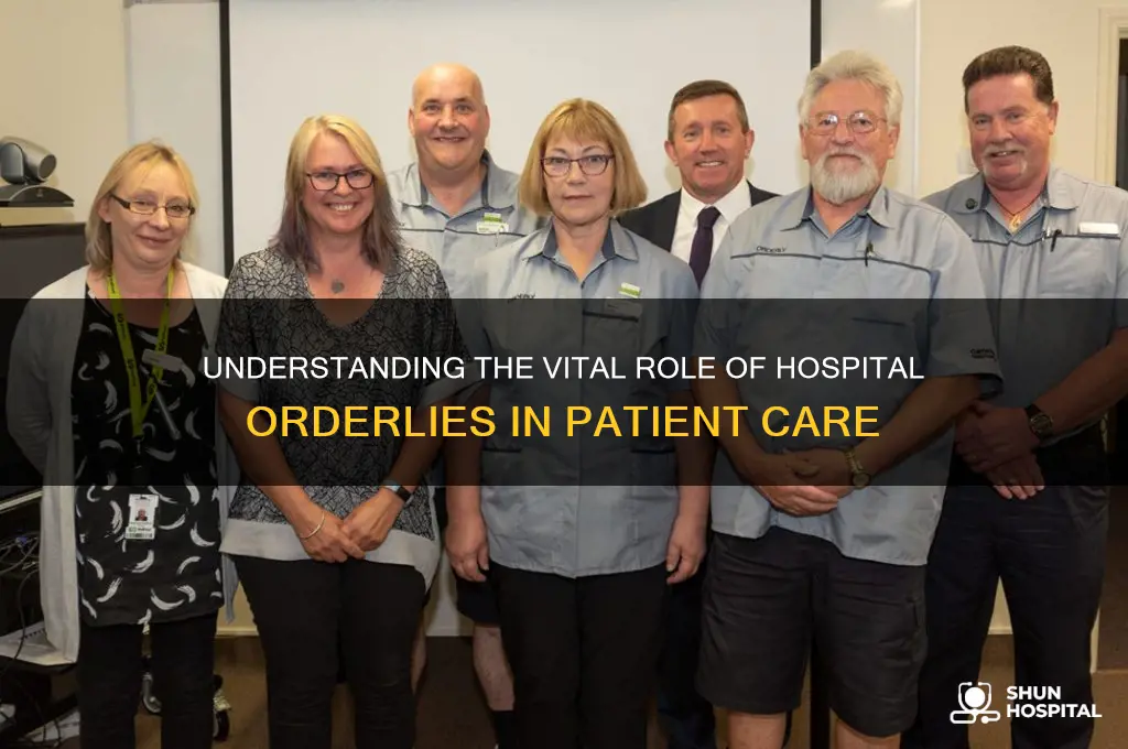 what is the job of an orderly in a hospital