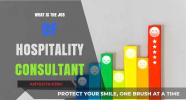 Hospitality Consultant: Elevating Guest Experience and Operations