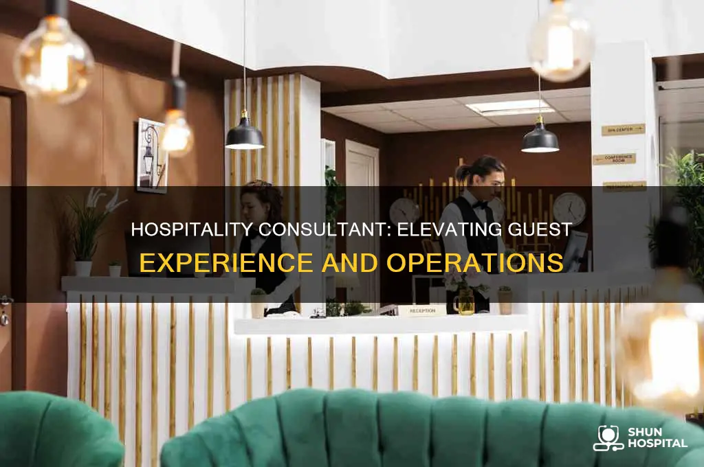 what is the job of hospitality consultant