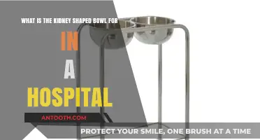 Kidney-Shaped Hospital Bowl: Purpose and Practical Uses Explained