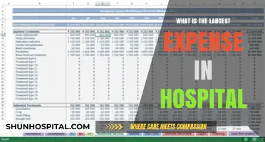 The Biggest Cost in Healthcare: Staffing or Supplies?