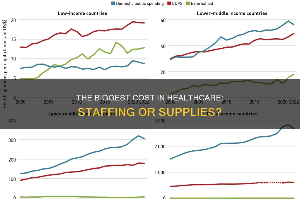 what is the largest expense in hospital