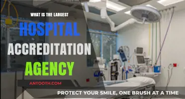 Hospital Accreditation: Who's the Top Dog?