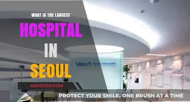 Exploring Seoul's Largest Hospital and Its Significance