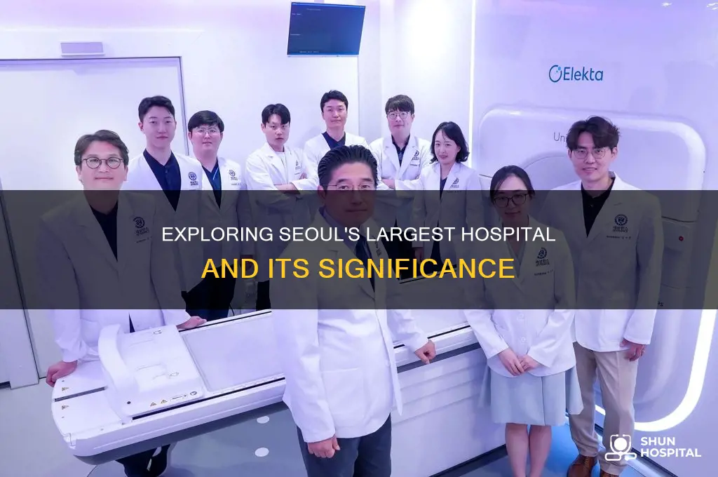 what is the largest hospital in seoul