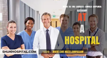Unveiling the Top Cost Driver: Hospital's Largest Single Expense Category