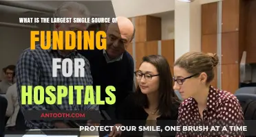 Unveiling the Primary Financial Lifeline for Hospitals: A Comprehensive Analysis
