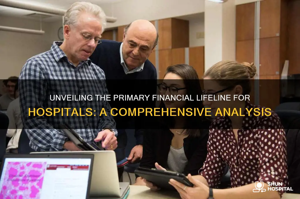 what is the largest single source of funding for hospitals