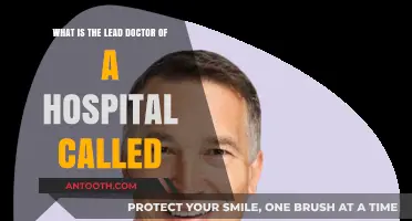 Understanding the Role: What is the Lead Doctor of a Hospital Called?
