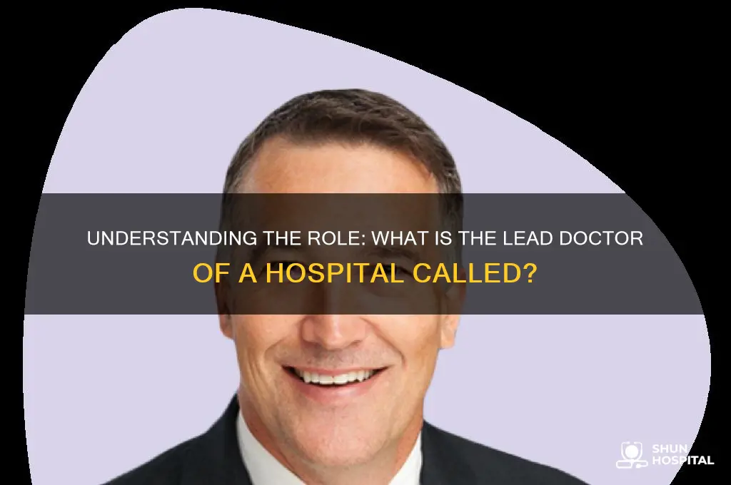 what is the lead doctor of a hospital called