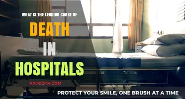 Unveiling the Top Cause of Fatalities in Hospital Settings
