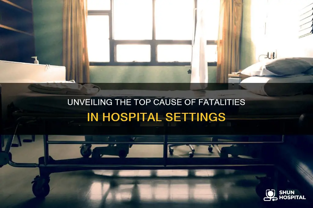 what is the leading cause of death in hospitals