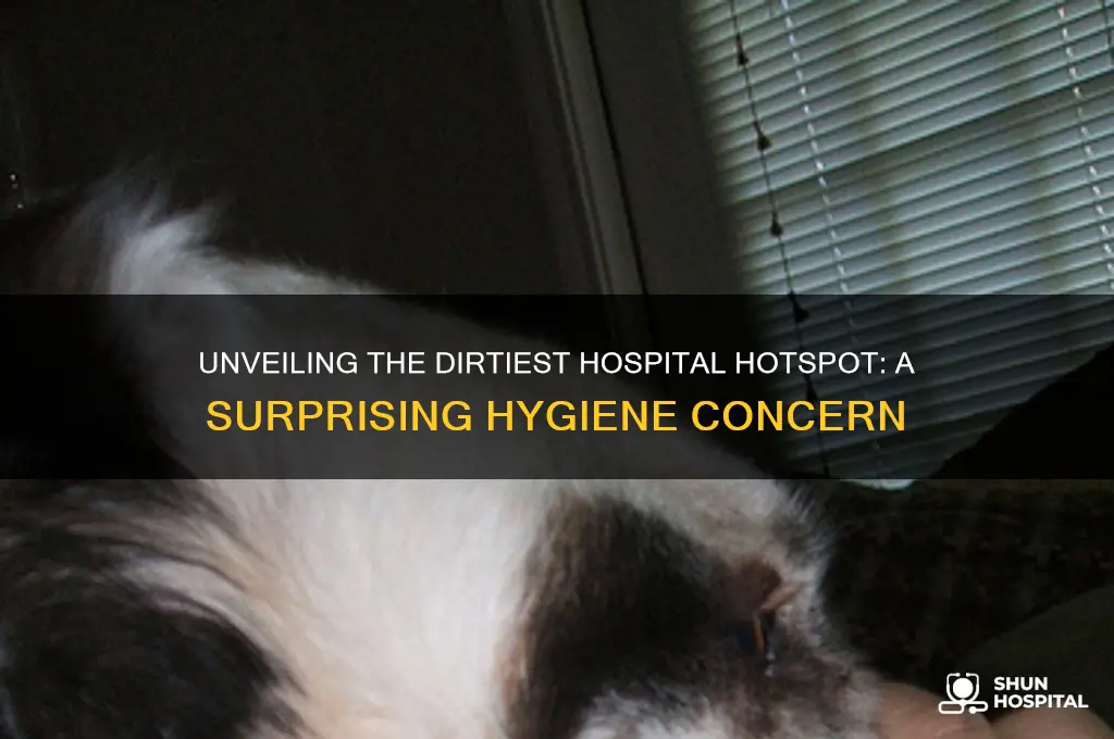 what is the least hygienic place in a hospital