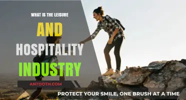 Leisure and Hospitality: Exploring the Industry