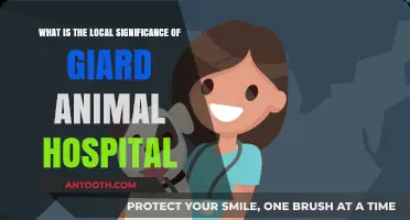 Giard Animal Hospital: A Local Lifeline for Pet Care and Community