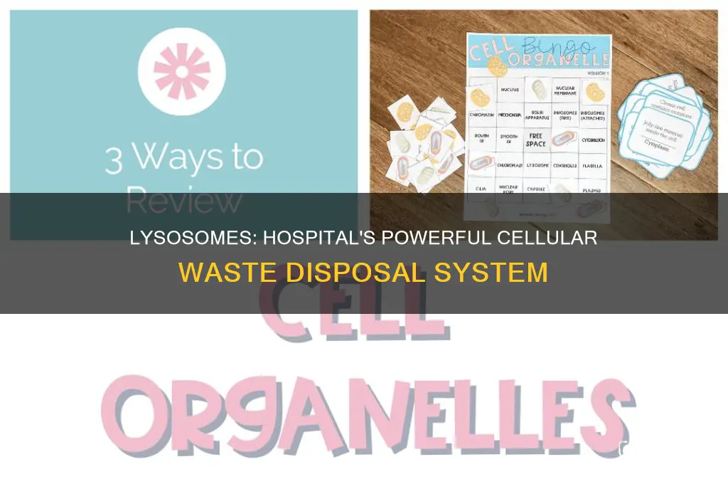 what is the lysosome in a hospital