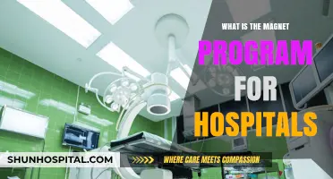 Magnet Program: Hospitals' Ultimate Recognition