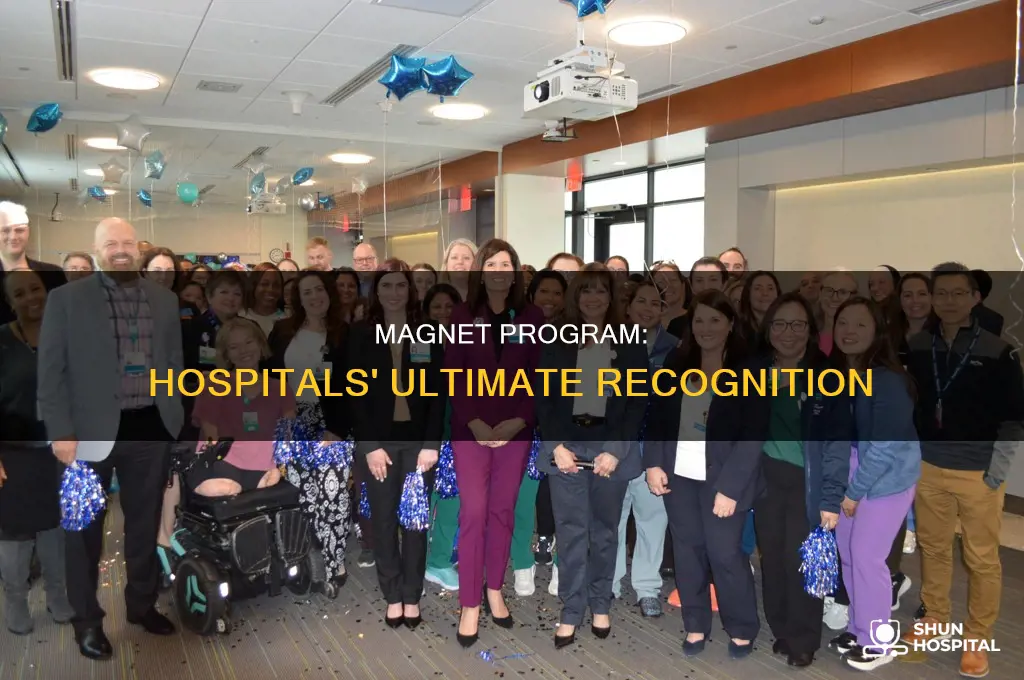 what is the magnet program for hospitals