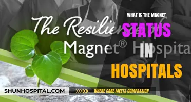Magnet Status Hospitals: What's the Big Draw?
