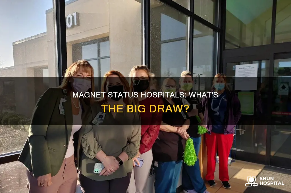 what is the magnet status in hospitals