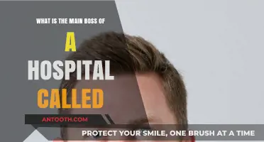 Who's in Charge? Understanding the Main Boss of a Hospital